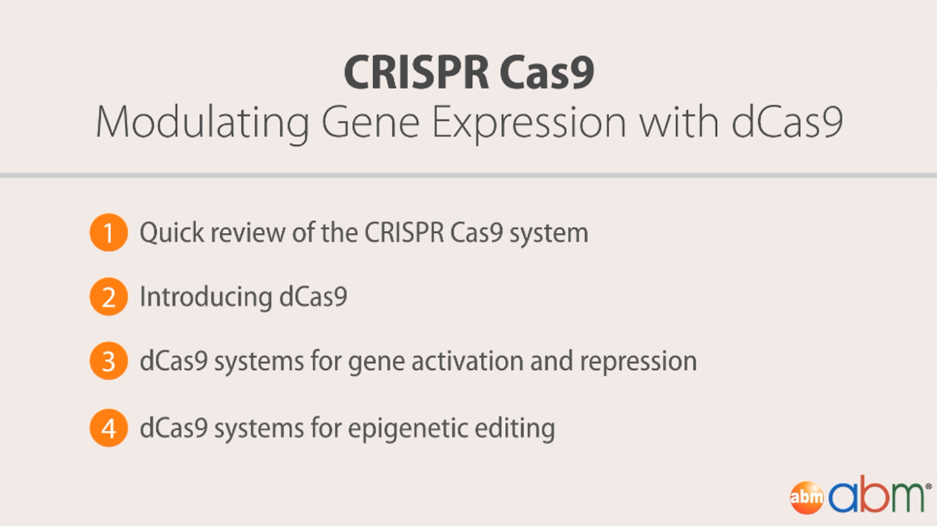 CRISPR Cas9 基因敲除技术