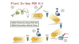 爱必梦生物科技有限公司案例无需核酸提取，直接PCR