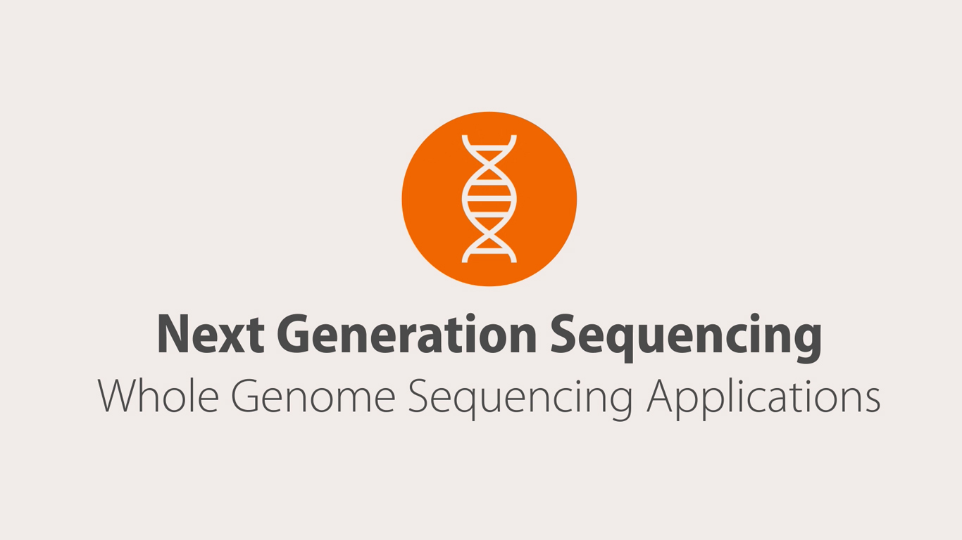 Next Generation Sequencing Whole Genome Sequencing Applications