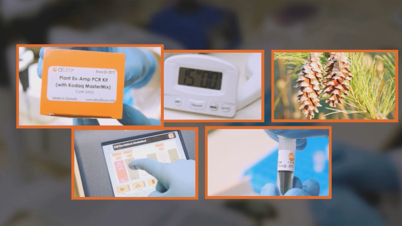 LIVE DEMO VIDEO for the Plant Ex-Amp PCR Kit
